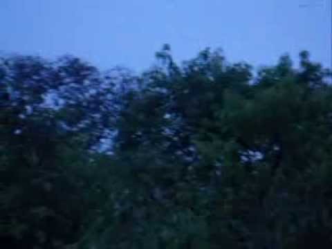 Amazon Brasil:05 30 am video Birds are waking up