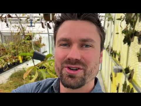 2022 ￼Floraecollaborative Greenhouse Tour Part 1 Highland Side!