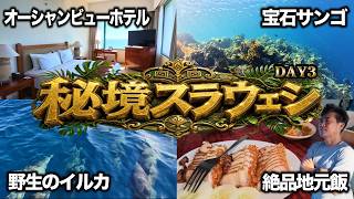 野生のイルカ探しと地元の絶品ローカル飯を食べ尽くすスラウェシの旅【バリ倶楽部のオーダーメイドツアー DAY3】