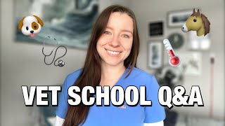 VET SCHOOL Q&A: answering your questions about vet school and the application process!