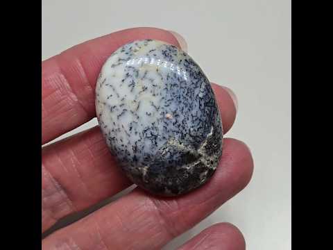 Дендроопал - кабошон 45,5 ct - фото 1 - id-p2016456223