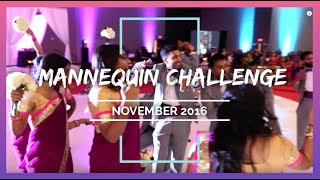 Mannequin Challenge - November 2016