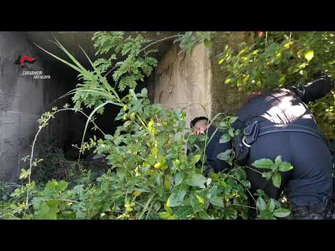 Munizioni ed esplosivi scoperti dai carabinieri