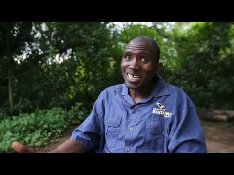 African Bird Fair 2022 - BirdLife South Africa's Community Bird Guides (Andrew de Blocq)