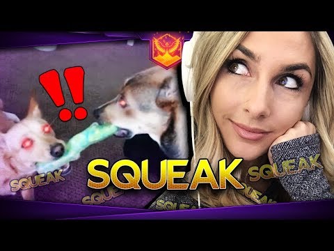 ( HEARTHSTONE ) OTK Holy Wrath Paladin vs Odd Warrior