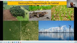 Aula: Conservação de Anfíbios