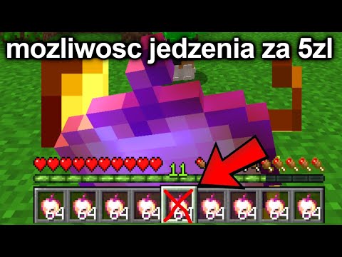 DOŁĄCZYŁEM NA SERWER P2W W MINECRAFT