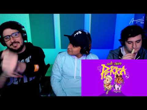 [Reacción] J Balvin, Tokischa – Perra (Official Audio) | ANYMAL LIVE 🔴