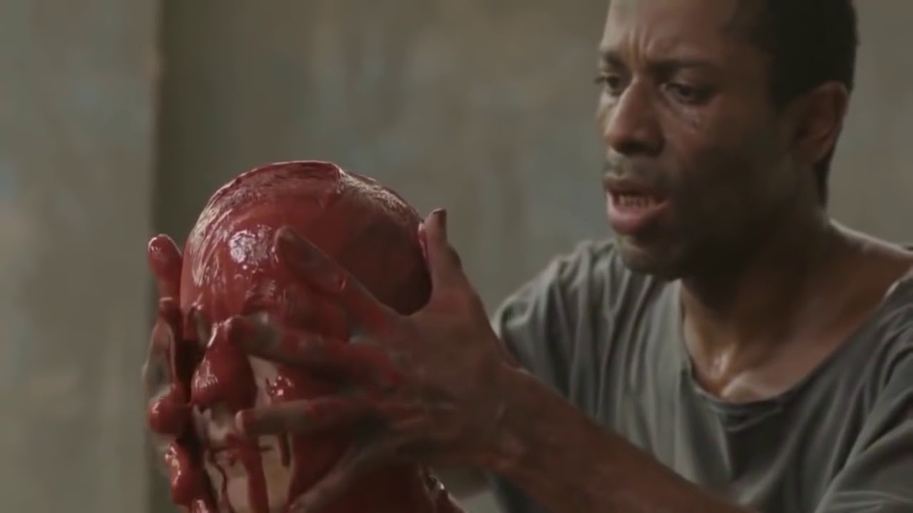 Resumo do Filme "Nise - O coração da Loucura" - Com Glória Pires