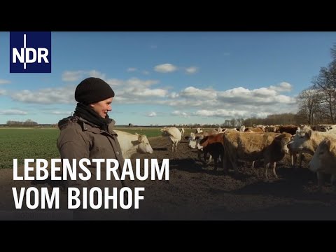Unter Lämmern und Kühen | Die Nordreportage | NDR Doku
