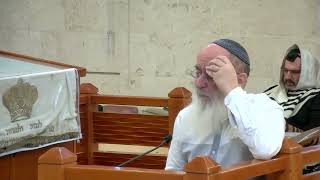 ירידה מהאידיאל למציאות – שיעור 5 – ספר שופטים – פרק א'