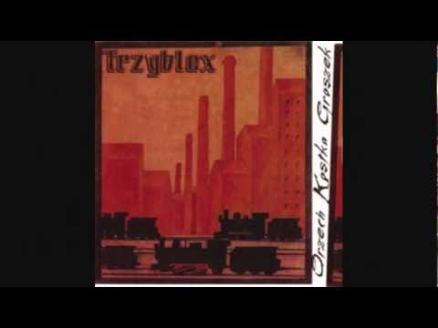 3blox orzech kostka groszek Haj Lajf skrecz Sh Waldi