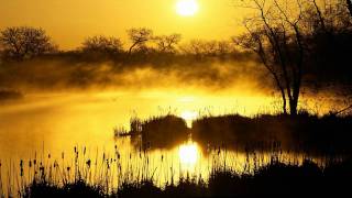 Passenger 10 - Mirage (EDX's 5un5hine Mix) [HD]