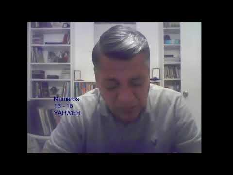 Números 13-16