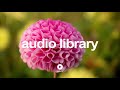 All Hail The Queen Dan Lebowitz Country Folk Bright No Copyright Music YouTube Free