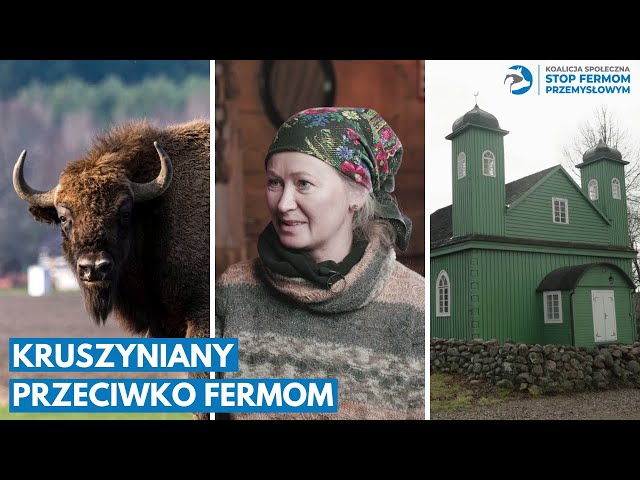 Video Pronunciation of Krynki in Polish Video Pronunciation of Krynki in Polish