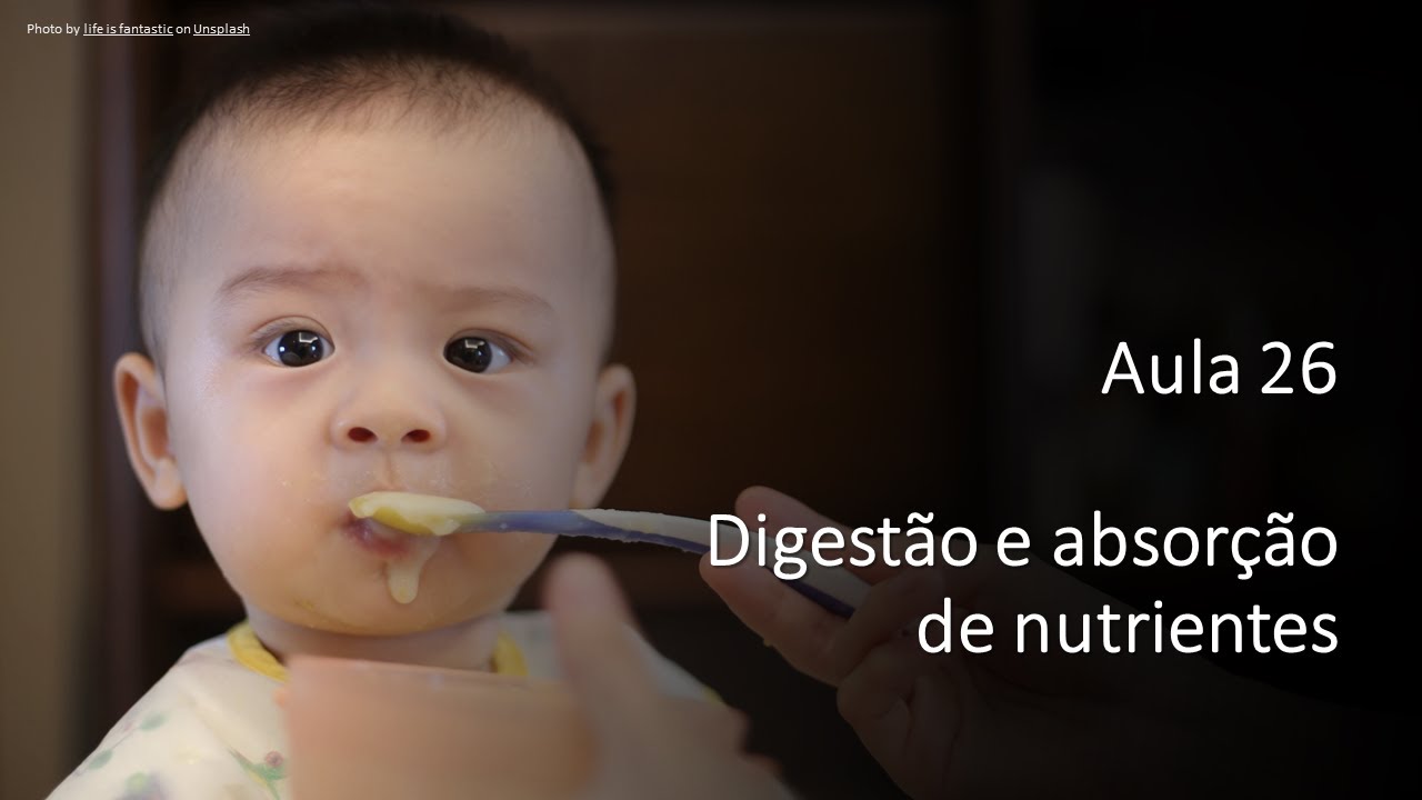 Videoaula 26 Digestão e absorção dos nutrientes