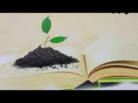 أقسام التأويل وحكم المتأول في نصوص الصفات