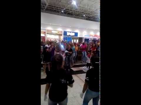 Um verso de amor- libras jatai