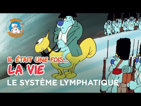 Il était une fois… la Vie 🌱- Le système lymphatique 🦵