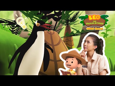 Witness21  2023 01 21