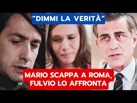 IL PARADISO DELLE SIGNORE ANTICIPAZIONI: MARIO SCAPPA A ROMA, FULVIO LO AFFRONTA