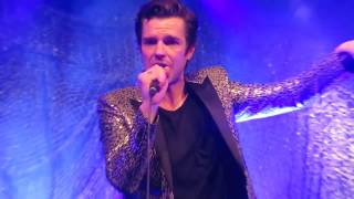 Brandon Flowers - Untangled Love