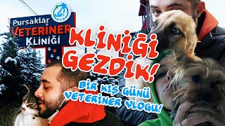 KLİNİĞİ GEZDİK! : Bir Kış Günü Veteriner Vlogu