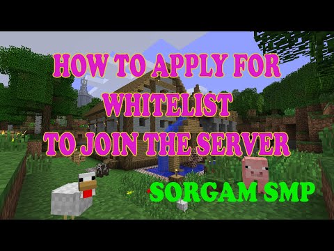 How to apply for whitelist - Sorgam SMP #minecraft #minecraftsmp #minecrafttamilsmp