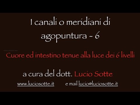 I canali o meridiani di agopuntura 6 Cuore ed intestino tenue alla luce dei 6 livelli