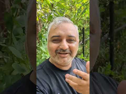 Urban Pocket Forest - Subhajit Mukherjee 