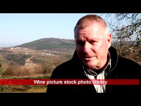 Wines and food of Istria in Croatia w Guido Schwengersbauer