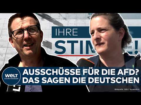 DEUTSCHLAND: Ausschuss-Vorsitz für die AFD? Das sagen die Deutschen! | WELT Ihre Stimme