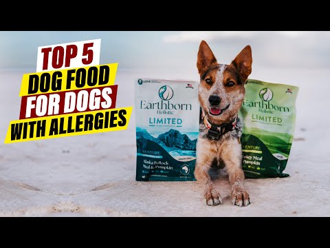 Best Dog Food for Allergies: A Comprehensive Guide