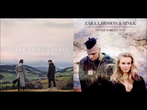 Zara Larsson x MNEK & Martin Garrix x Dua Lipa - Forget To Be Lonely (Mashup)