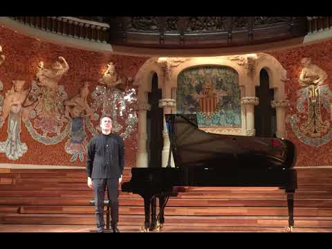 Beethoven Fantasia op 77 Paul Lewis (Live) 2020