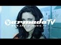 Videoklip W&W - Nowhere To Go (ft. Bree)  s textom piesne