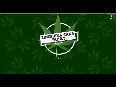 LIFESTYLE RIDDIM KENYA | ZIMESHIKA SANA FAMILY | LIVE RECORDING