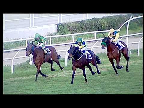 Napoli Galoppo 23/01/2022 - 6ª corsa