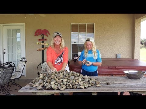 download lagu mp3 mp4 Where To Scallop In Hernando County, download lagu Where To Scallop In Hernando County gratis, unduh video klip Where To Scallop In Hernando County