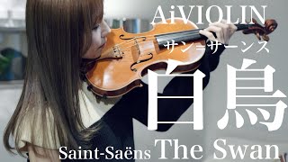 Download lagu 白鳥/ サン=サーンス-Saint-Saëns:The Swan (Le Cygne) -AiVIOLIN- mp3