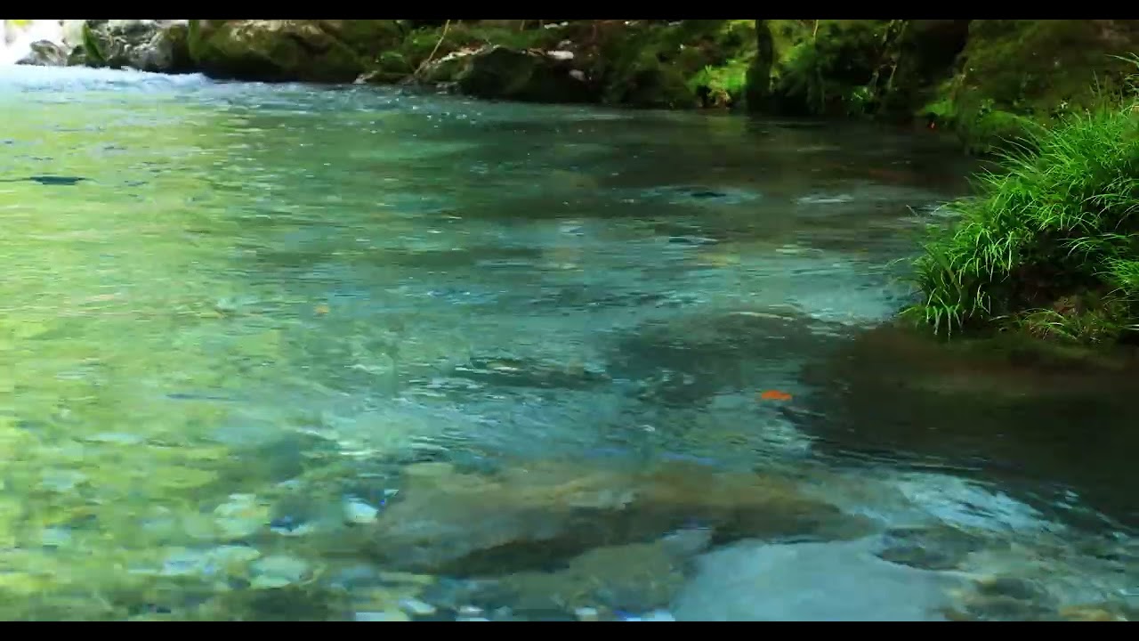 4K Natural Sound Video / Beautiful Japanese mountain stream: The spring-fed Enbara River
