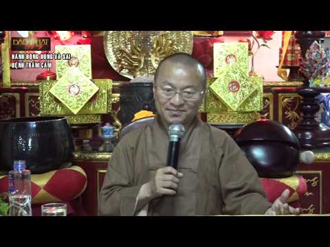 Vấn đáp: Thiểu dục tri túc, ăn chay trường, lập gia đình trễ, để trở thành Phật tử, Kinh Phật cho người tại gia, hành động đúng và sai, bệnh trầm cảm, trở về đạo Phật nguyên chất, học Phật trong thời hiện đại