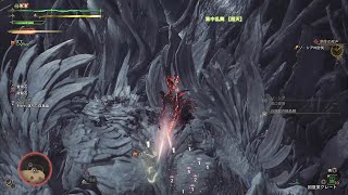 【MHW】ゾ・シア×双剣　リヴァイ切り　「モンスターハンターワイルズ」Monster Hunter Wilds