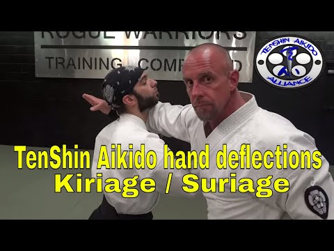 TenShin Aikido Hand Deflections FREE online class | Kiriage - Suriage