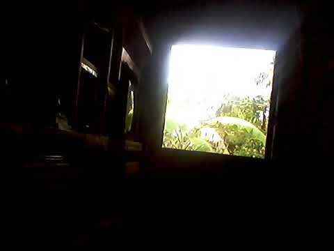 blind ayaw pasakayin ni mamang driver sa frontset? bakat kaya?