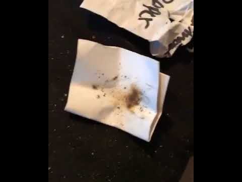 Yung Tyreik And G Nate vs Yung Kooda Bear Funny Videos Part 61