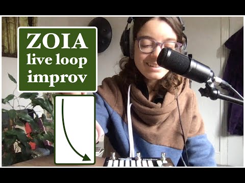 Forest Calls // Vocal Live Loop with Empress Effects Zoia // Amy Naylor