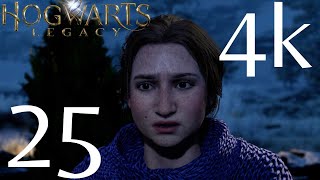Harry Potter Hogwarts Legacy | Troll Control | 25 | Gameplay Walkthrough | No Commentary | 4k