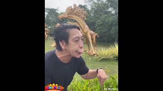 Horse Face Mimicry 🐎😂💯 #shorts #mimicry